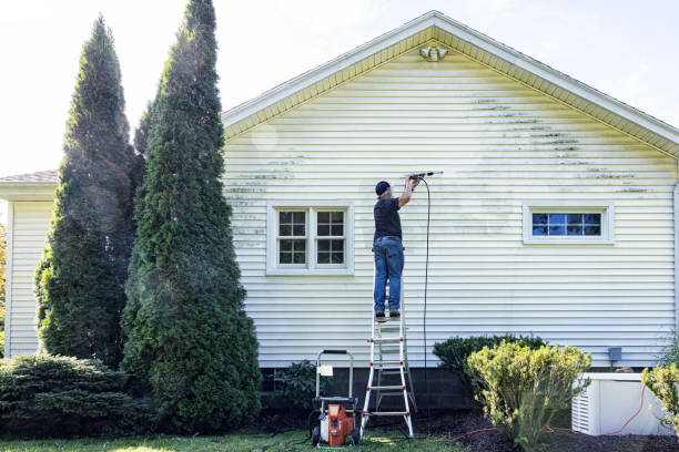 Best Paint Preparation  in Bagley, MN